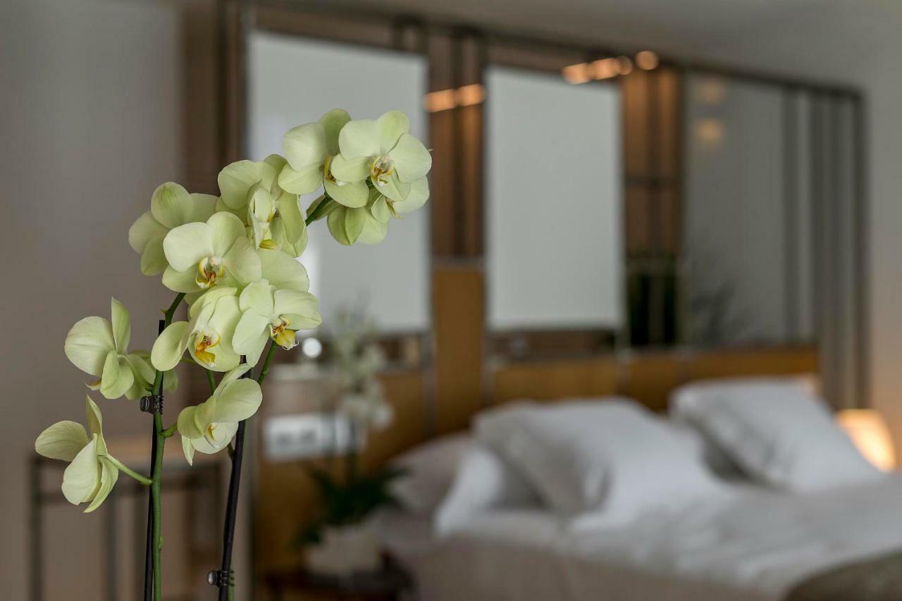Vinatea Suites Morella Dış mekan fotoğraf